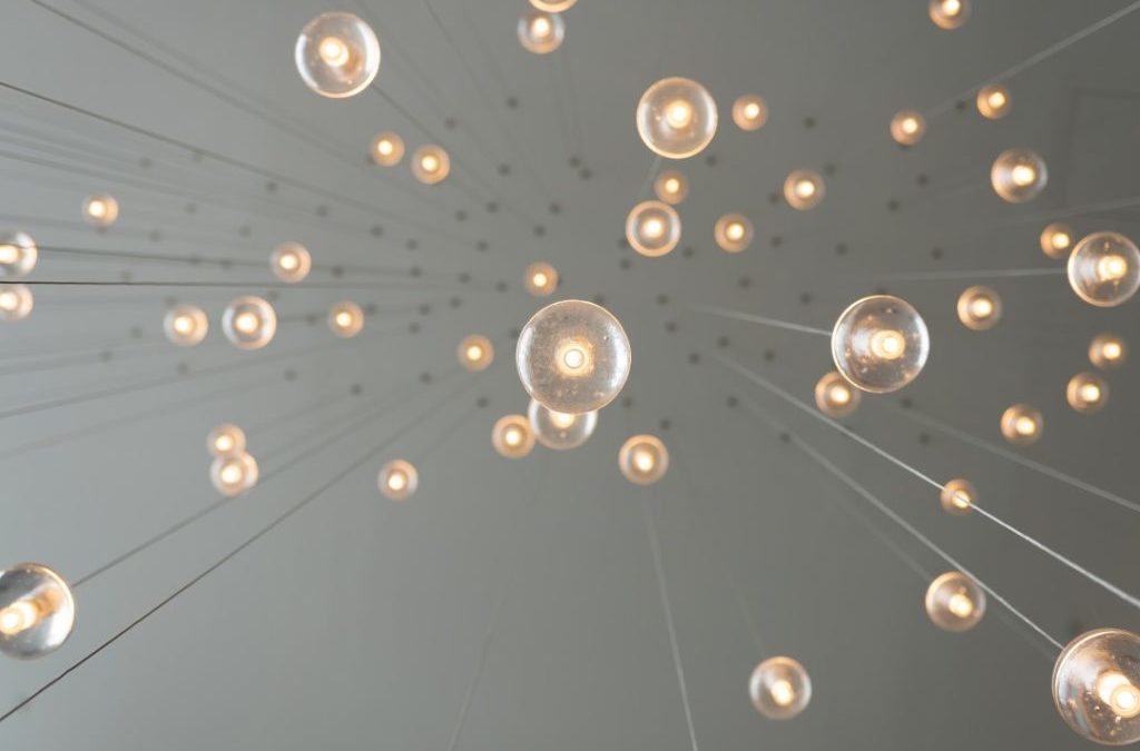 Will Changing a Light Bulb Really Help the Climate Crisis? Environmental Groups in US